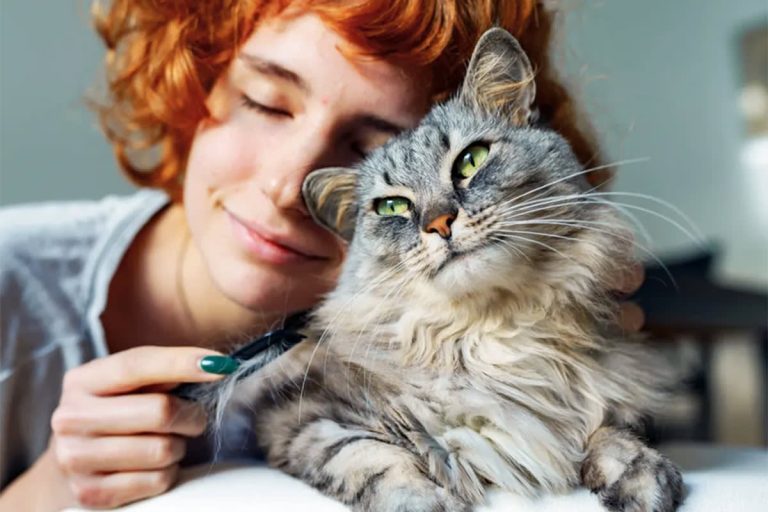 Advantages of Owning a Cat